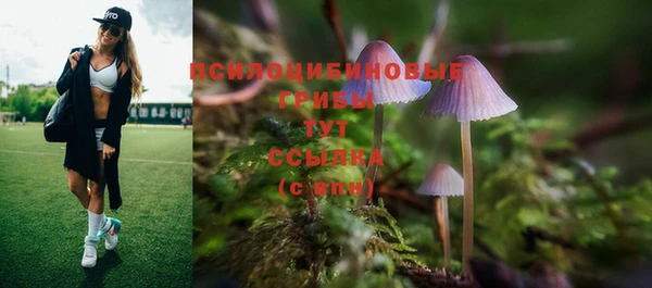 МДПВ Киров