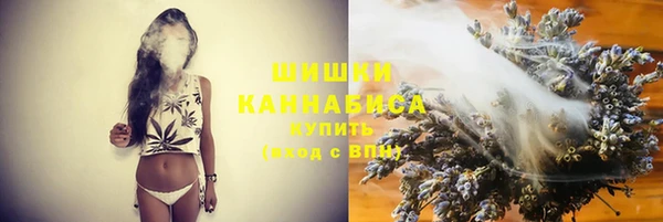 ECSTASY Кукмор