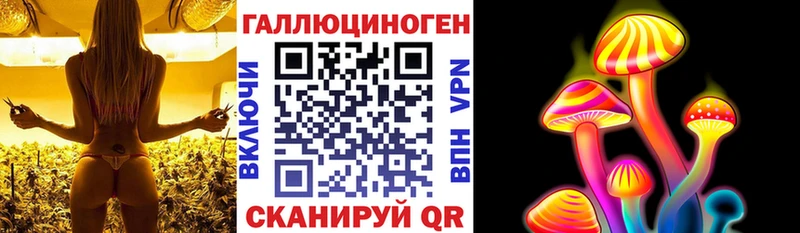 Псилоцибиновые грибы Psilocybine cubensis продажа наркотиков Динская